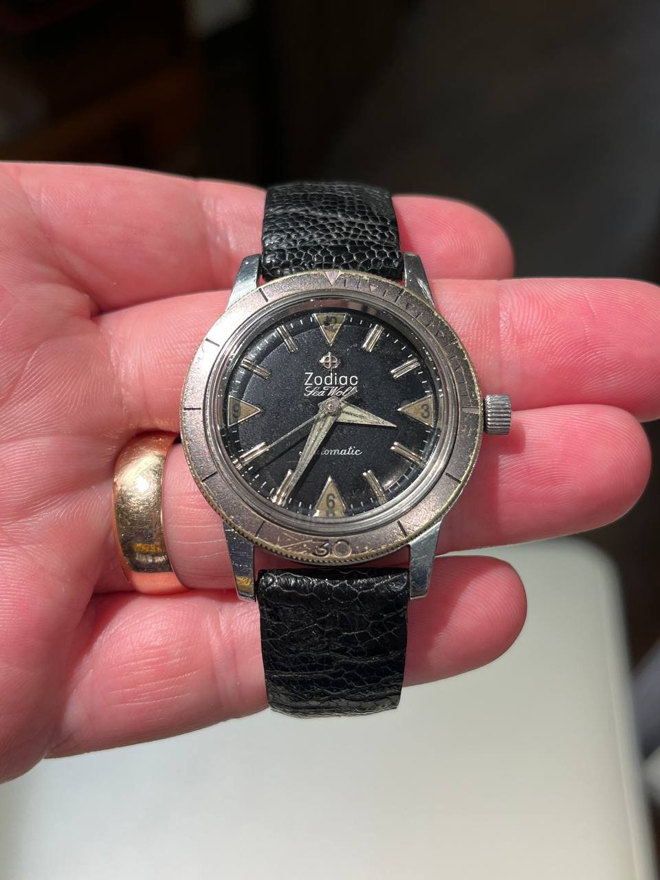 Zodiac Sea Wolf Automatic